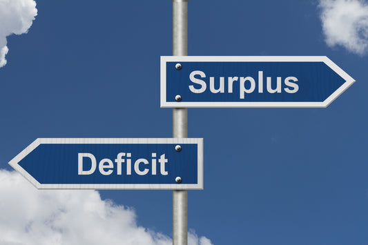 Subtract Your Expenses from Your Income — Do You Have a Surplus or a Deficit?